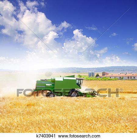 摄影图库 - 连合收割机, 收获, 小麦, 谷物